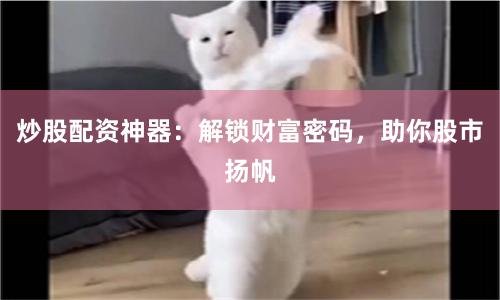 炒股配资神器：解锁财富密码，助你股市扬帆