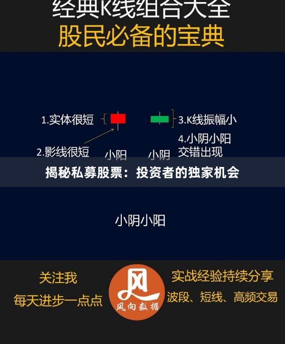 揭秘私募股票：投资者的独家机会